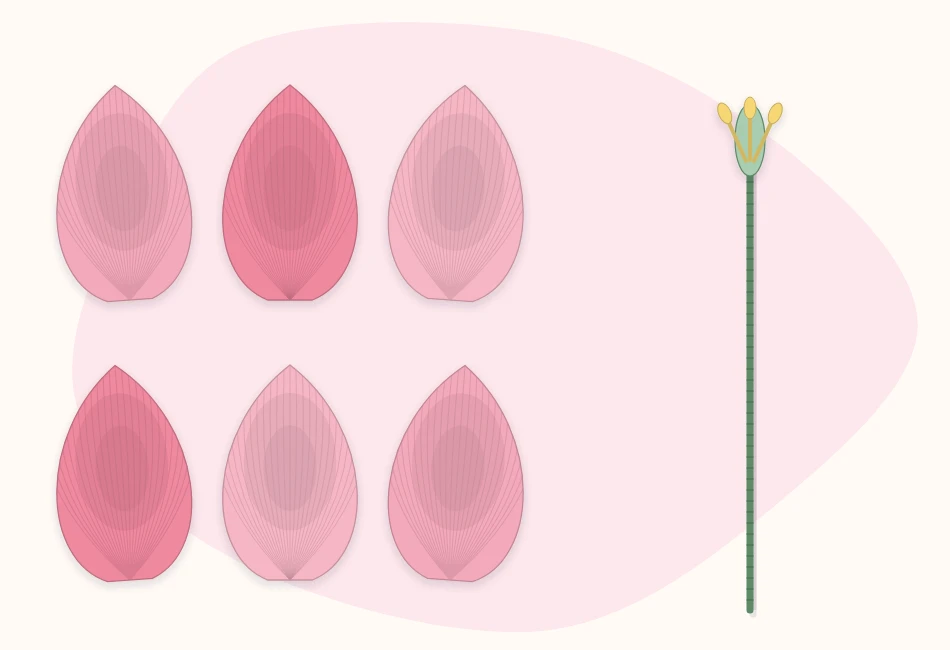 Six cupped crepe paper tulip petals laid out beside a wire stem with a small wrapped center