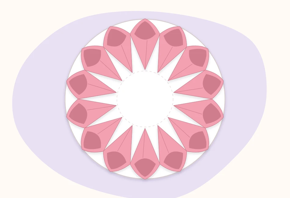 Paper cones glued in a first outer ring on a round cardstock base