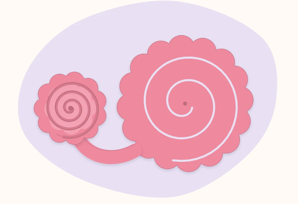 Paper spiral rolled halfway from the outer end, with the remaining spiral still lying flat